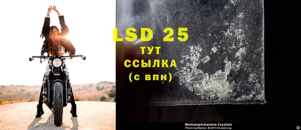 PSILOCYBIN Сясьстрой