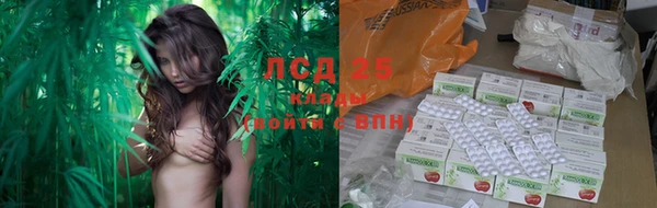 шишки Волоколамск