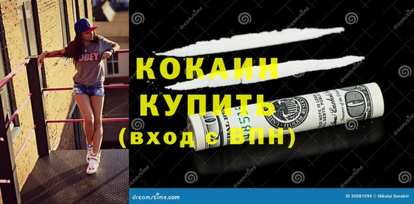 шишки Волоколамск