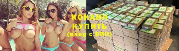 apvp Тавда